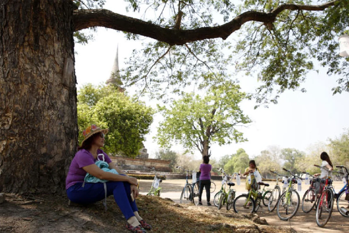 ชีวิตสุโข ณ สุโขทัย