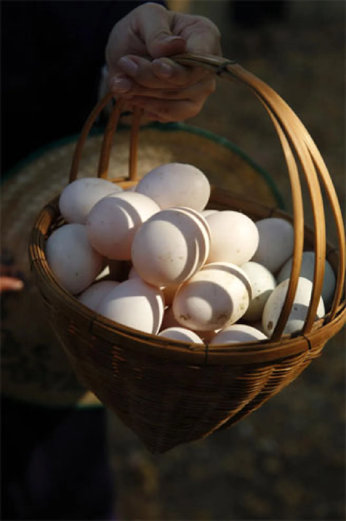 ชีวิตสุโข ณ สุโขทัย