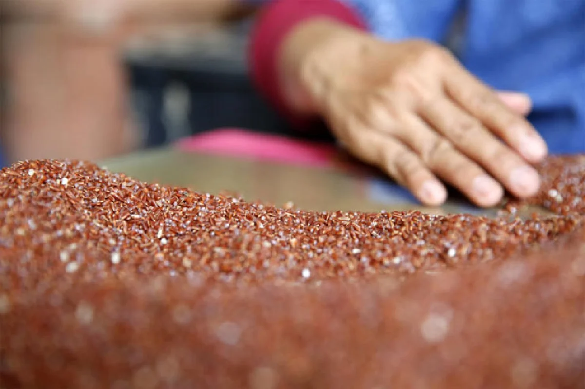 ชีวิตสุโข ณ สุโขทัย