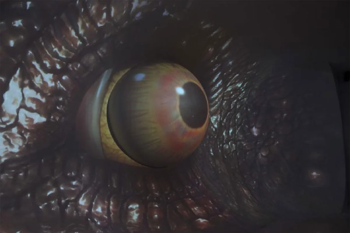 ปิดเทอมใหญ่ ไปไหนกันดี?