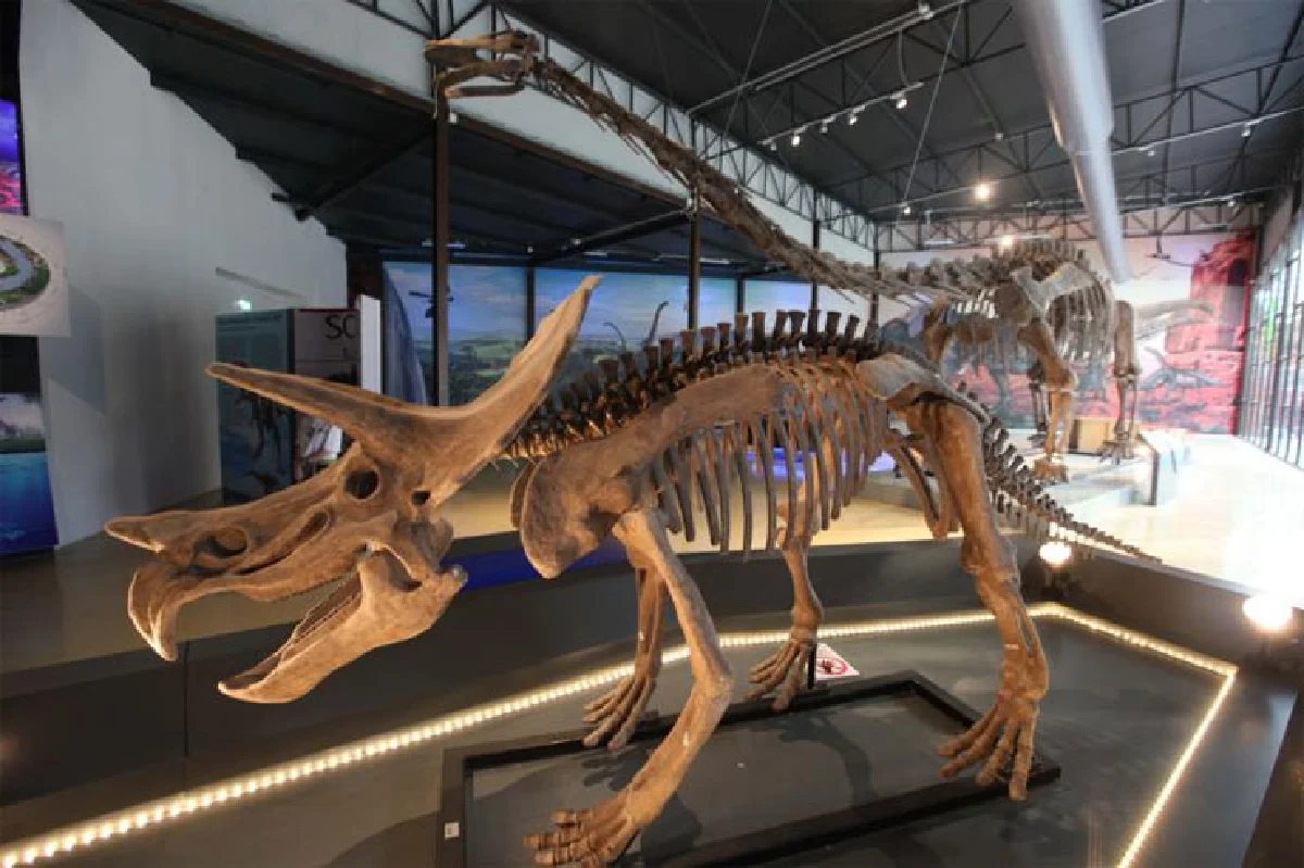 ปิดเทอมใหญ่ ไปไหนกันดี?