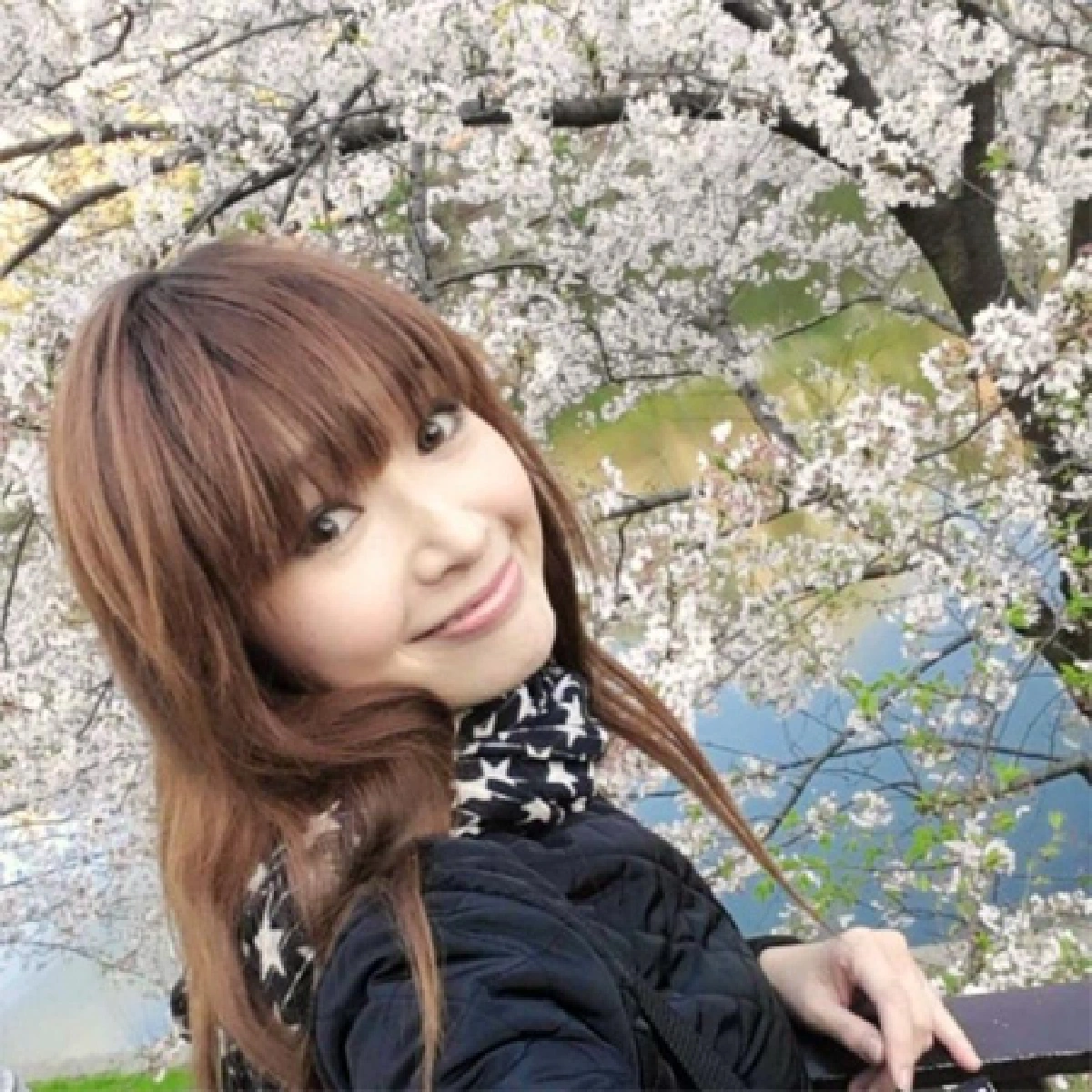 ‘ซากุระ’ สัญลักษณ์ฤดูใบไม้ผลิญี่ปุ่น