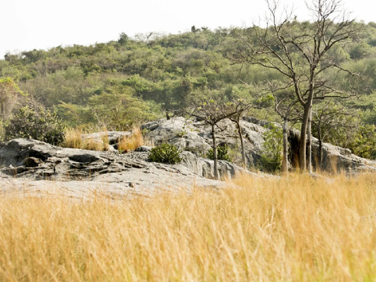 พักร้อนฉบับชาววัง