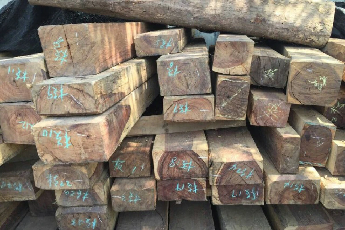 บุกโรงเลื่อยย่านปทุมฯ-นครปฐมยึดไม้พะยูง-ชิงชันมูลค่ากว่า50ล.