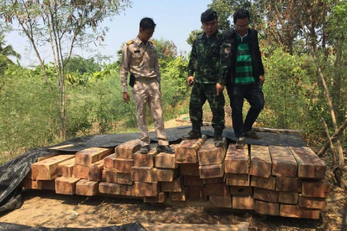 บุกโรงเลื่อยย่านปทุมฯ-นครปฐมยึดไม้พะยูง-ชิงชันมูลค่ากว่า50ล.