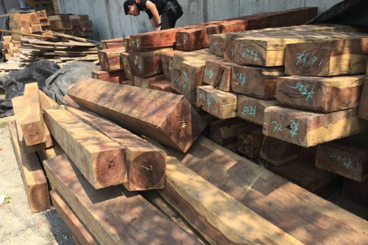 บุกโรงเลื่อยย่านปทุมฯ-นครปฐมยึดไม้พะยูง-ชิงชันมูลค่ากว่า50ล.