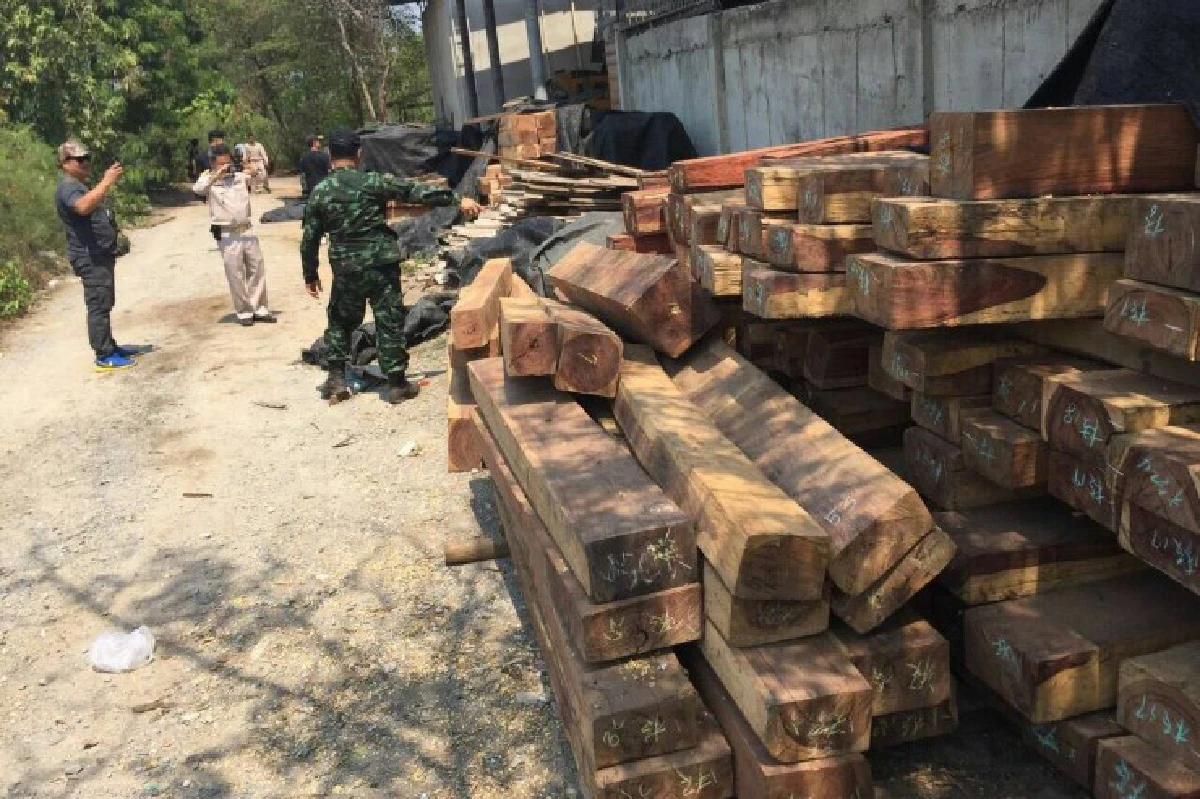 บุกโรงเลื่อยย่านปทุมฯ-นครปฐมยึดไม้พะยูง-ชิงชันมูลค่ากว่า50ล.