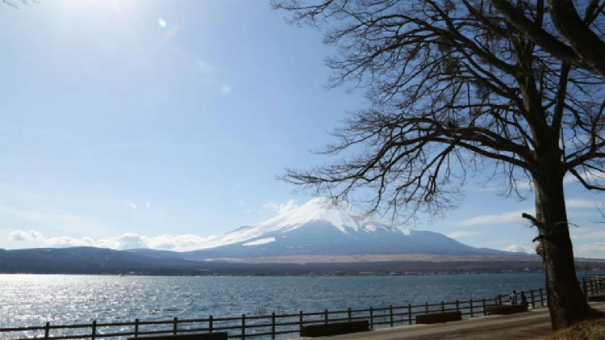 อาทิวราห์ คงมาลัย ดนตรี กีฬา การเดินทาง