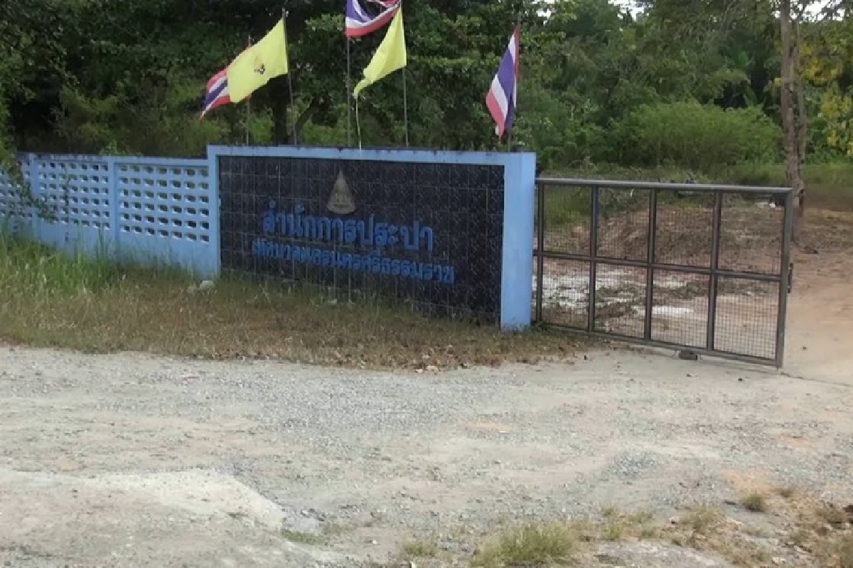 ตัวเมืองคอนเดือดร้อนหนักไม่มีน้ำประปาใช้ ตัวเมืองคอนเดือดร้อนหนักไม่มีน้ำประปาใช้