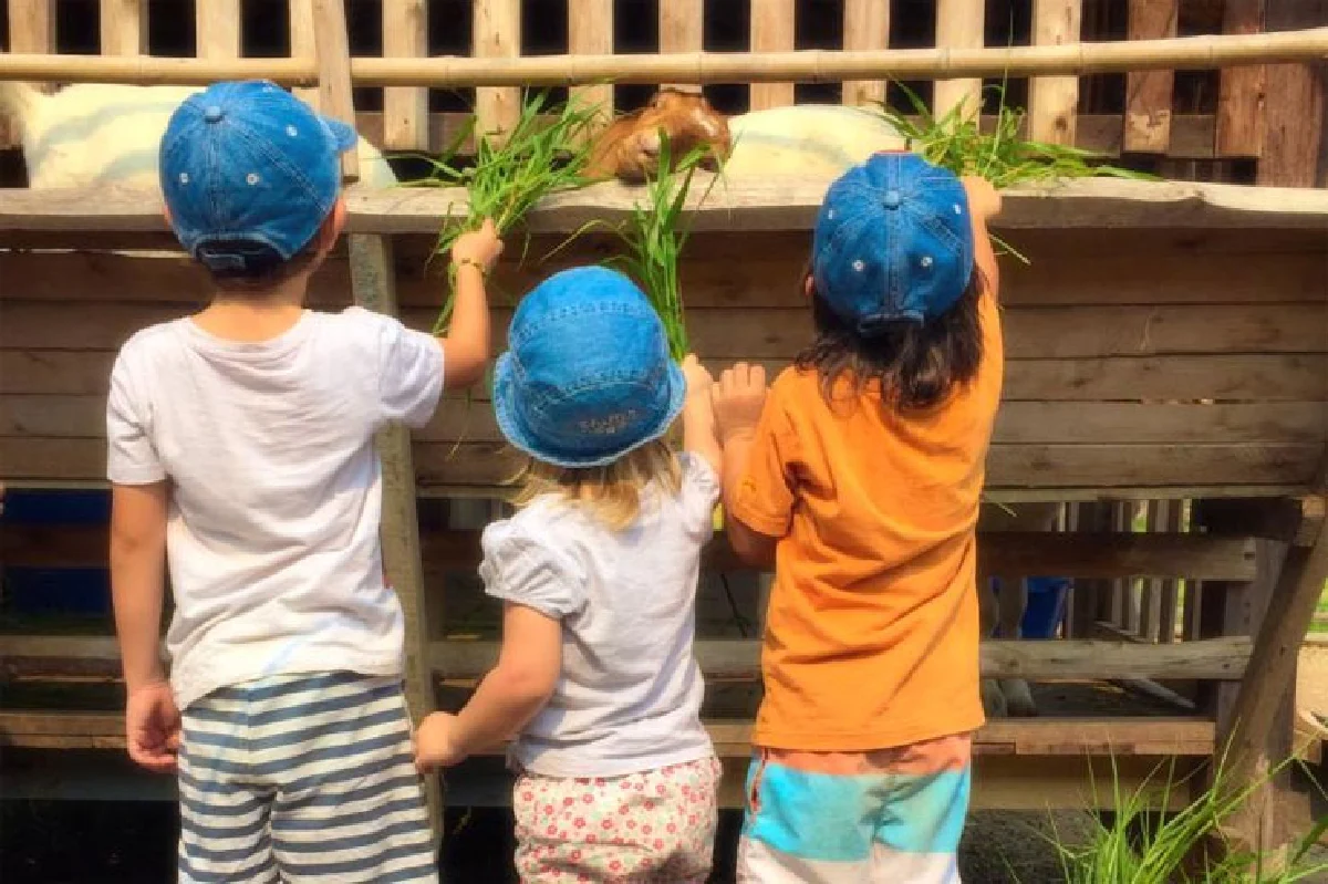 ปั้นเด็กสองภาษาให้ถูกทาง ฉบับพ่อแม่ยุคเออีซี