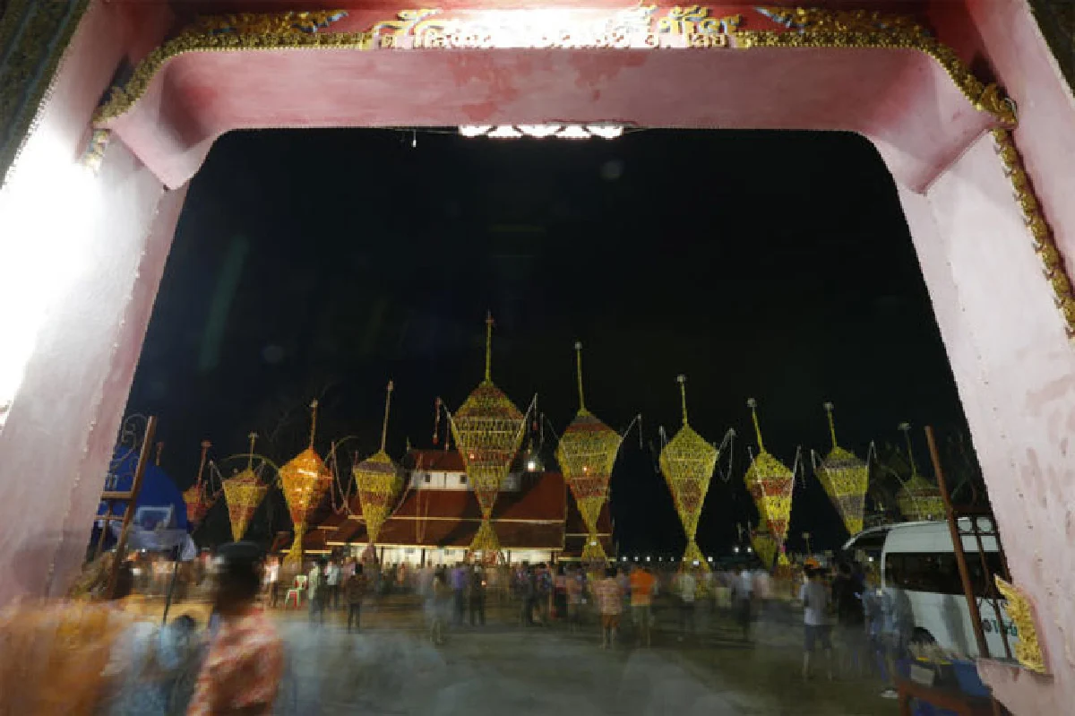 แสงภาปะทะอาฮี แห่ต้นดอกไม้ ราตรีถึงทิพา