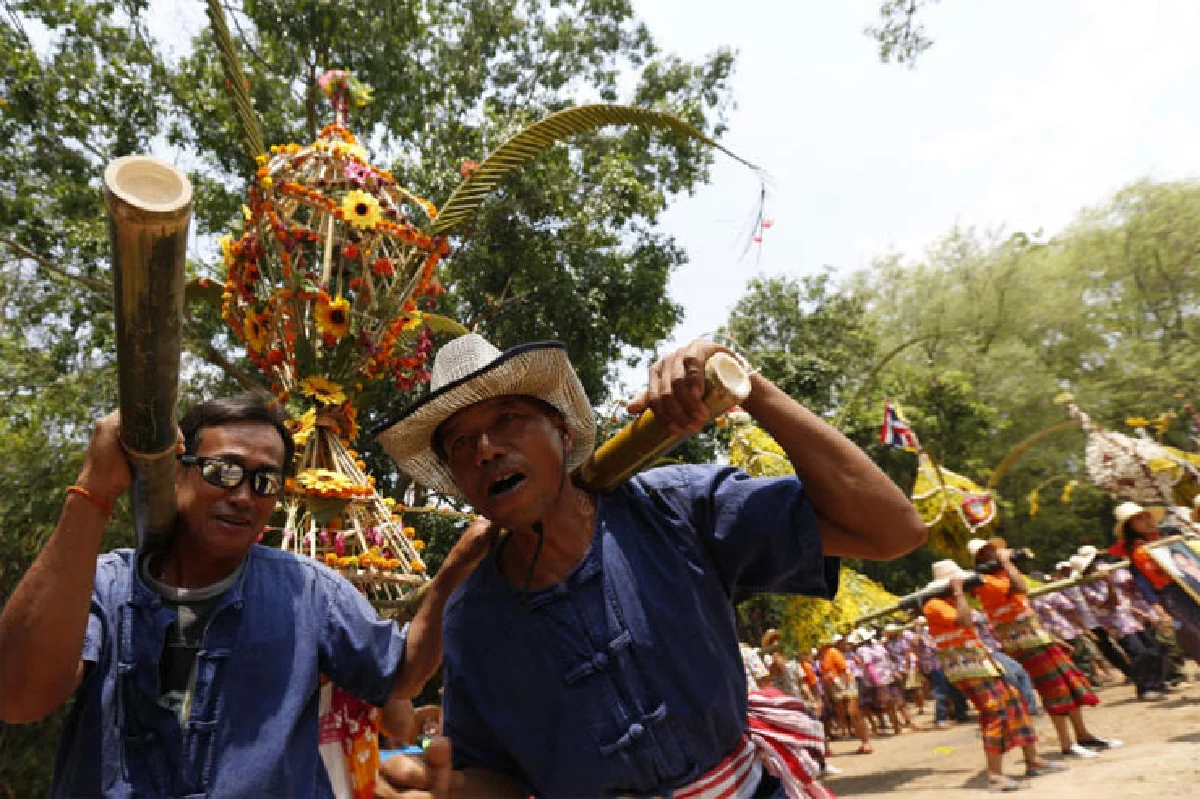 แสงภาปะทะอาฮี แห่ต้นดอกไม้ ราตรีถึงทิพา