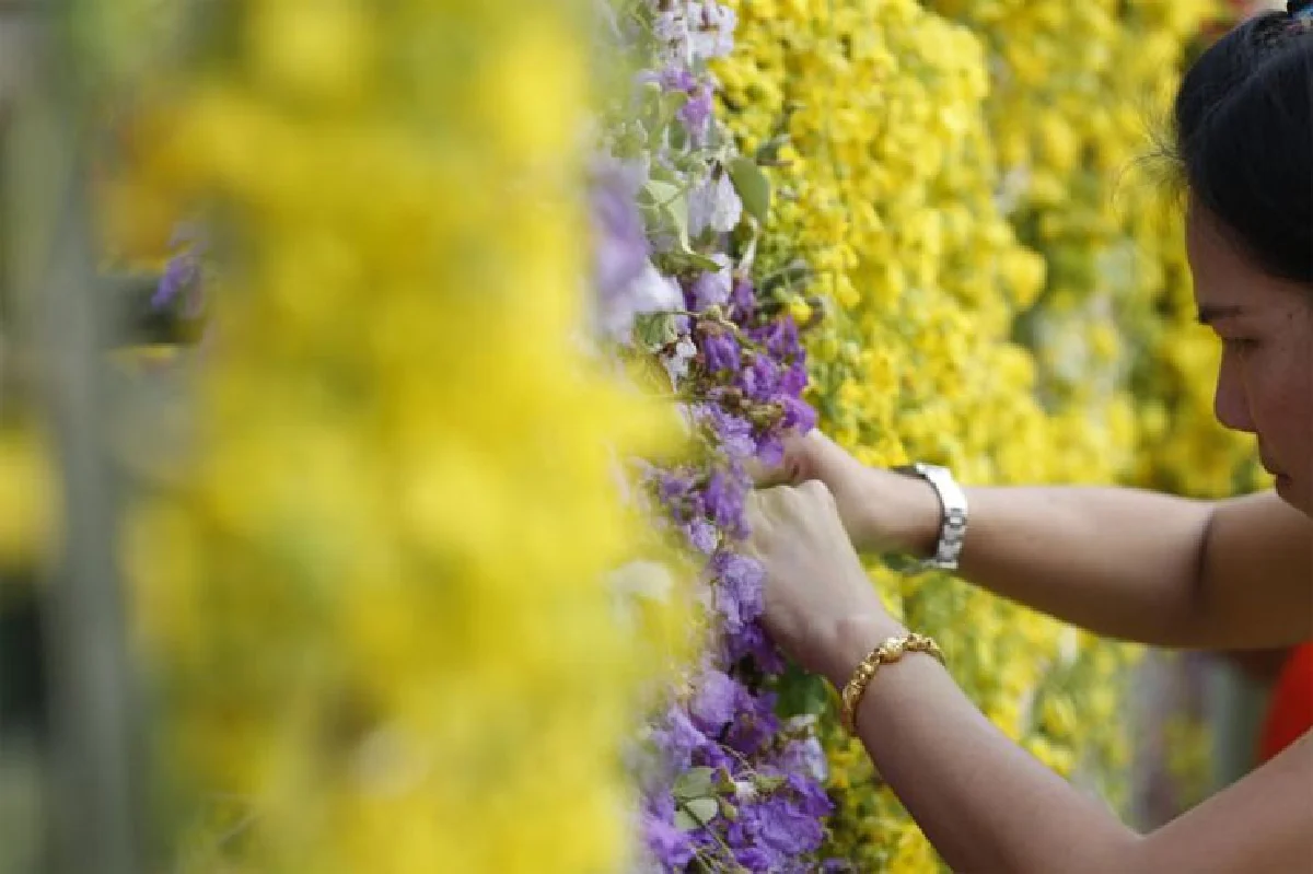 แสงภาปะทะอาฮี แห่ต้นดอกไม้ ราตรีถึงทิพา