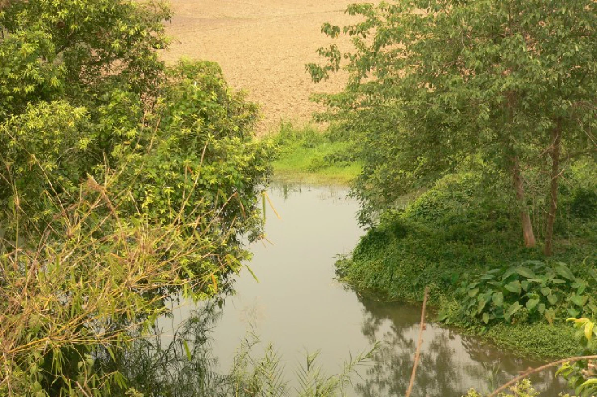 ฝายไม้น้ำปุก ภูมิปัญญา200ปี "รักษ์น้ำ รักษ์ป่า"