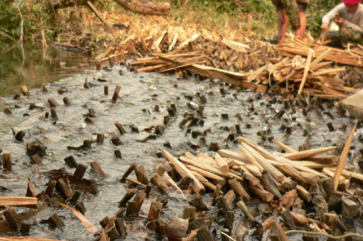 ฝายไม้น้ำปุก ภูมิปัญญา200ปี "รักษ์น้ำ รักษ์ป่า"