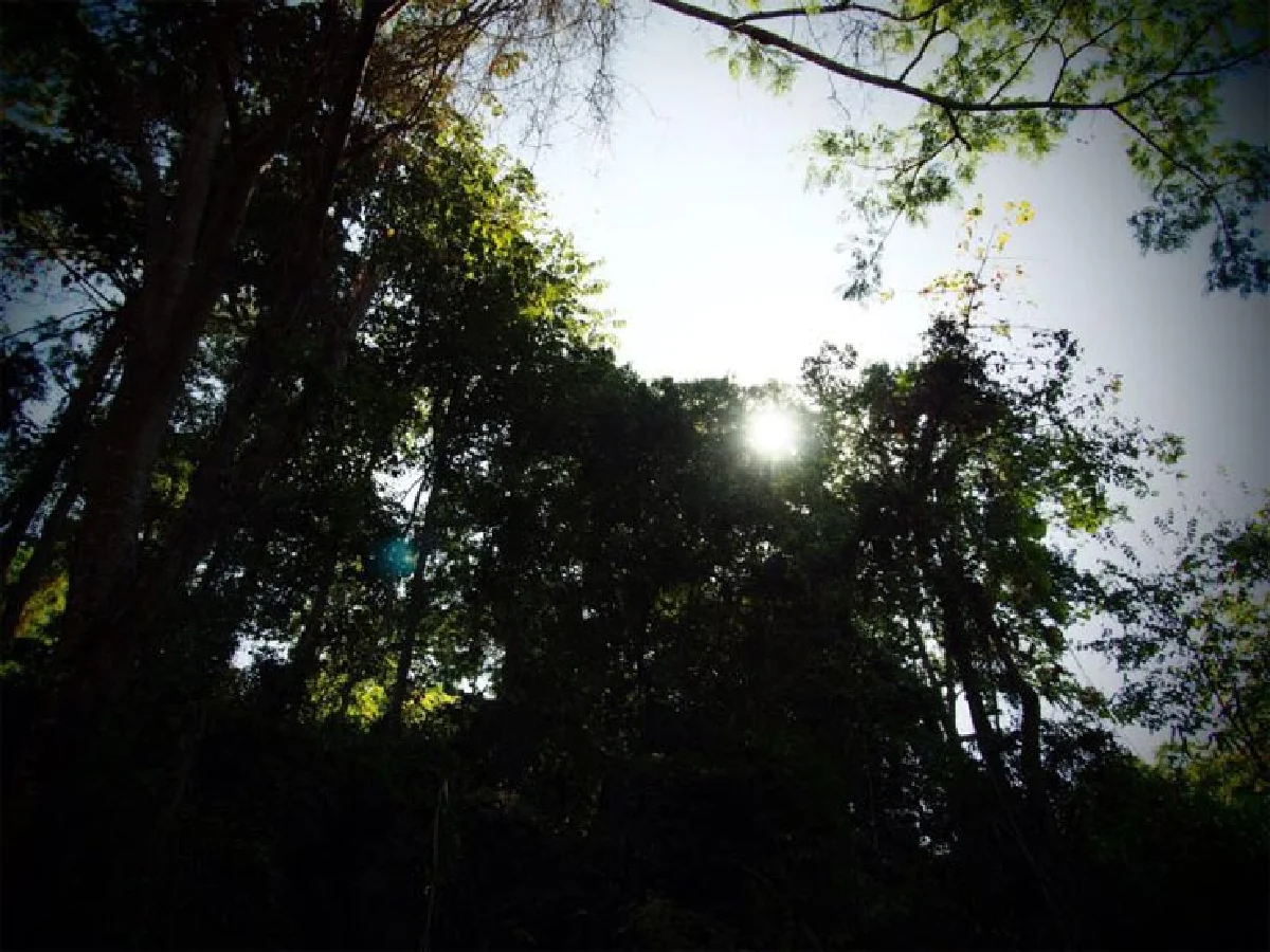 สุทธิมนต์ โอ้รา คนติดธรรมชาติ