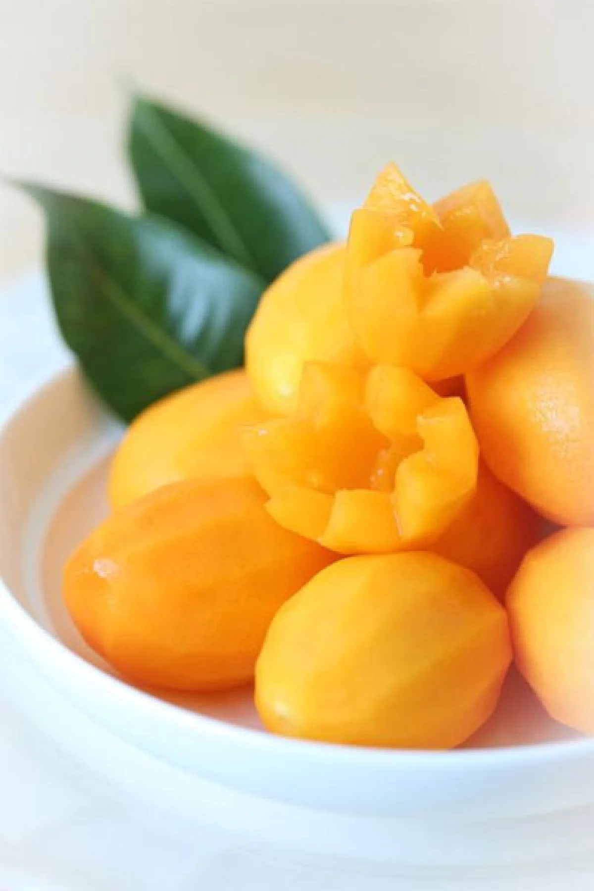 Merry Marion ริค็อตตาเเพนเค้ก กับมะยงชิดท็อฟฟี่