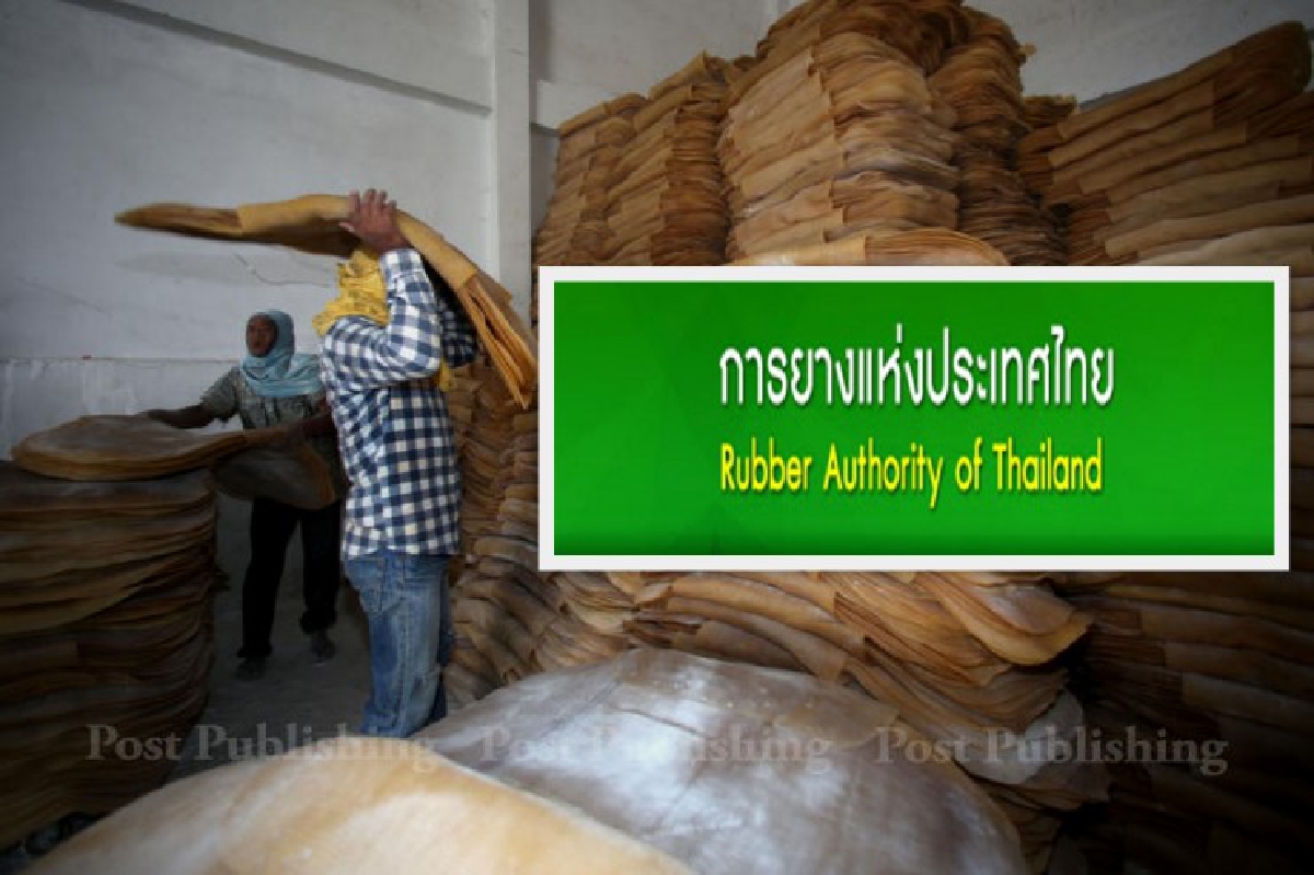 กยท.วุ่นอีก! ร้องทบทวน เซ็นตั้งเจ้าหน้าที่ กยท.วุ่นอีก! ร้องทบทวน เซ็นตั้งเจ้าหน้าที่