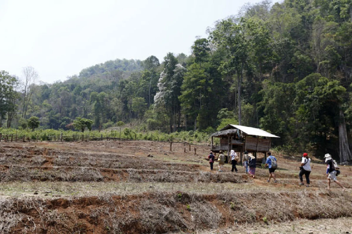 ปกาเกอะญอ ที่รัก ณ บ้านเมืองแพม
