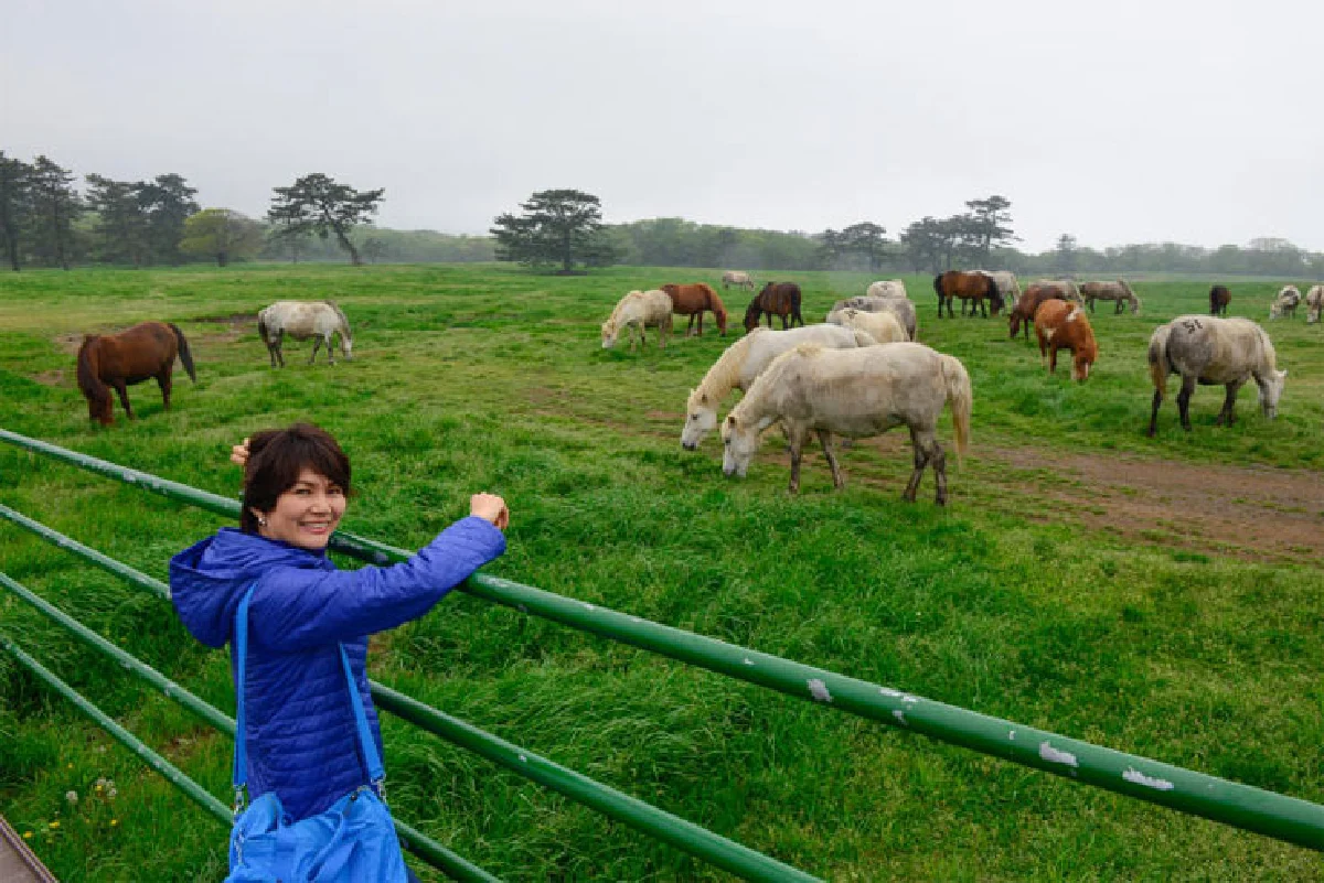 สูดอากาศใสๆ เที่ยวสบายๆ เกาะเจจู