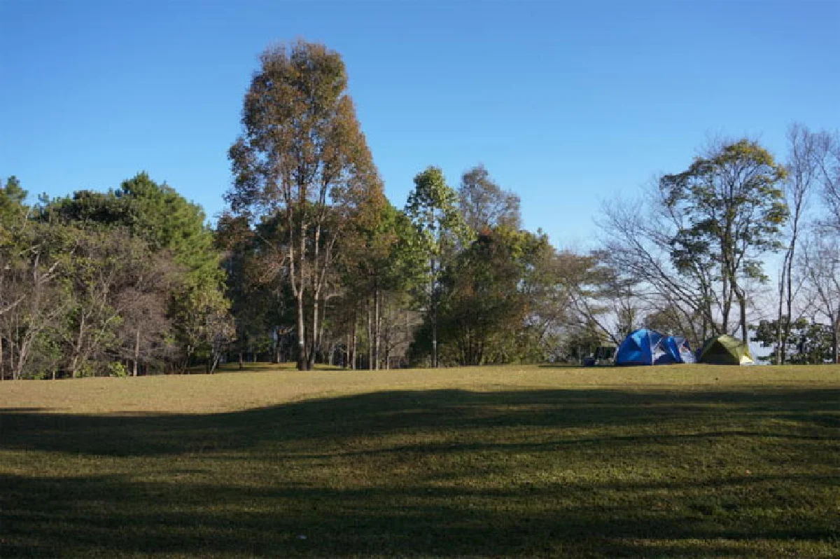 วรัญญู ทิพยมนตรี เที่ยว ‘แปลก’ แหวกแนว