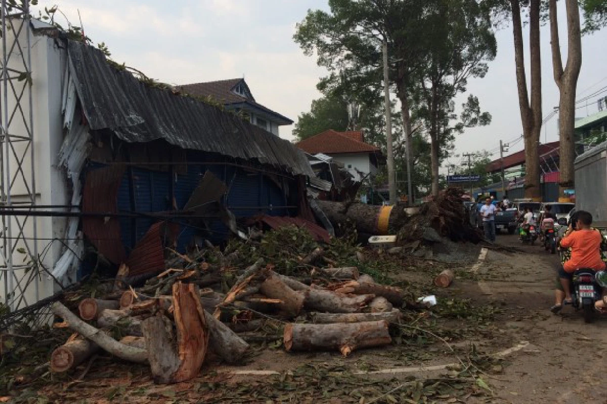 พายุฤดูร้อนถล่มเชียงใหม่ต้นยางล้มทับบ้านพัง