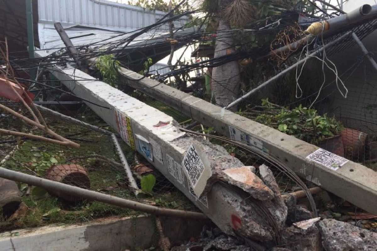 พายุฤดูร้อนถล่มเชียงใหม่ต้นยางล้มทับบ้านพัง