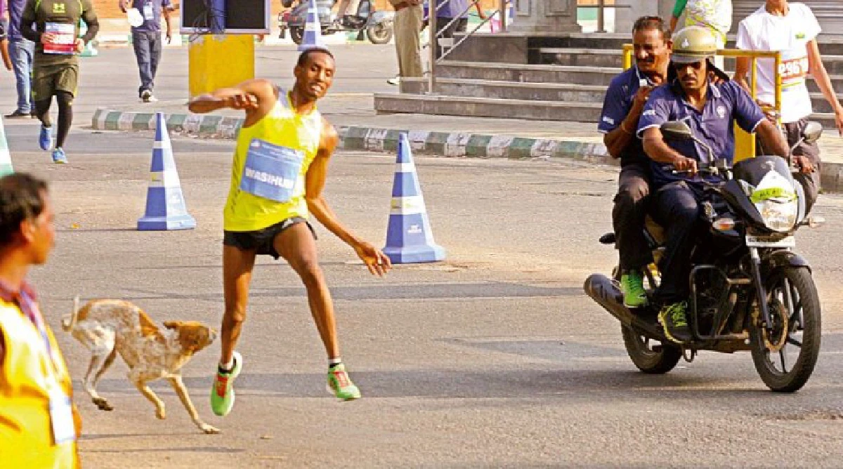 ซวย!นักวิ่งมาราธอนชวดที่1 เจอหมาจรจัดไล่กัดก่อนเข้าเส้นชัย