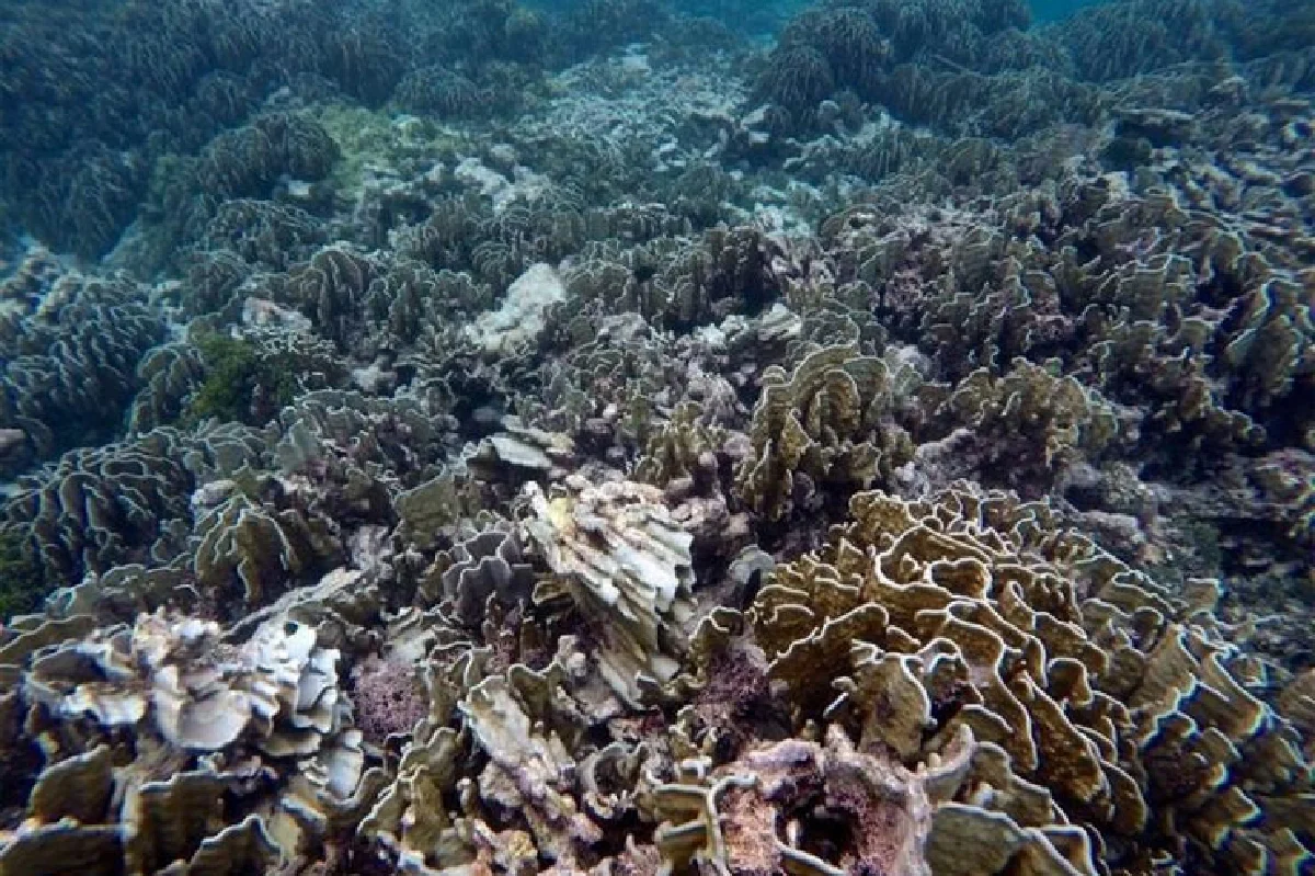 ปิดเกาะตาชัย จุดเปลี่ยนท่องเที่ยวไทย