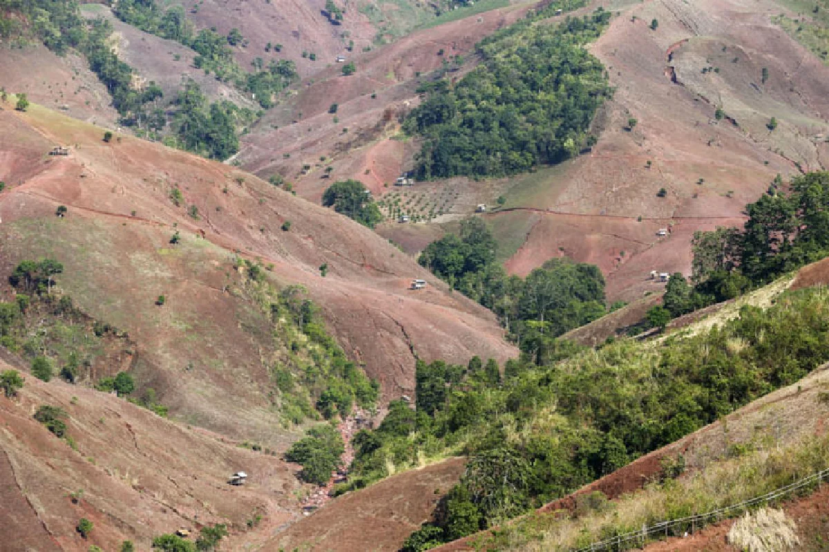 ความหวังที่น่าน คนยืนได้ ไม้ยืนต้น