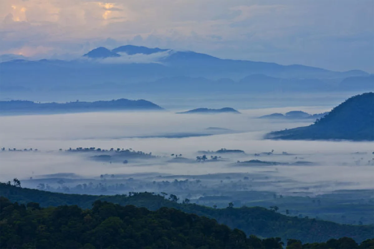 เที่ยวป่าหน้าฝน ตะลุยทุ่ง ‘หม้อข้าวฯ’ นับแสนบนยอดเขานอจู้จี้