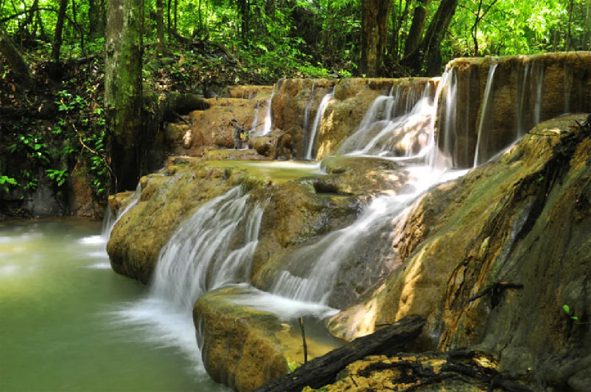 เที่ยวป่าหน้าฝน ตะลุยทุ่ง ‘หม้อข้าวฯ’ นับแสนบนยอดเขานอจู้จี้