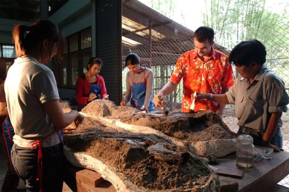 ฝึกงาน ประสบการณ์ชีวิตที่ซื้อไม่ได้