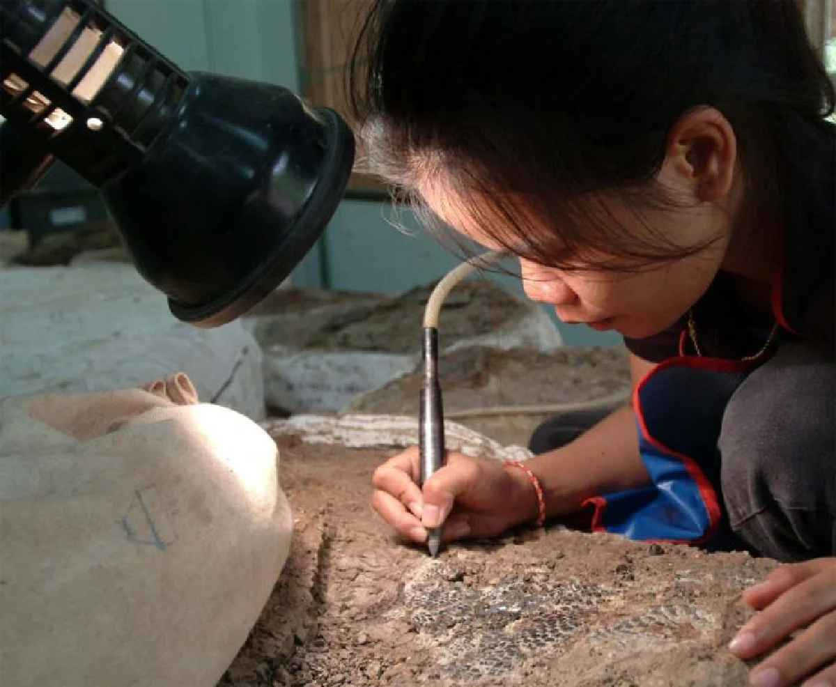 ฝึกงาน ประสบการณ์ชีวิตที่ซื้อไม่ได้