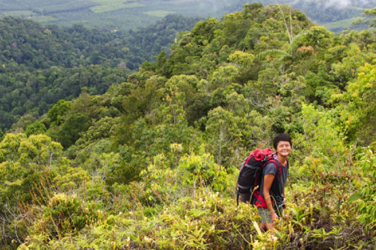 เที่ยวป่าหน้าฝน ตะลุยทุ่ง ‘หม้อข้าวฯ’ นับแสนบนยอดเขานอจู้จี้
