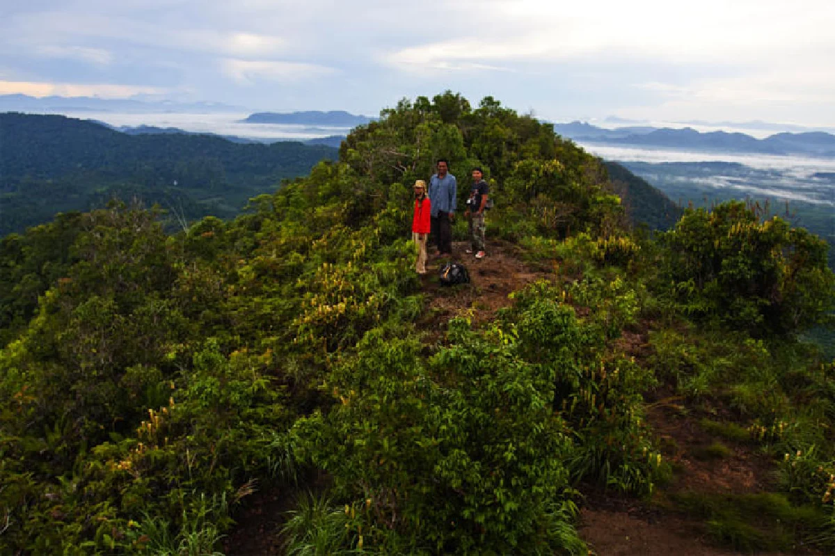 เที่ยวป่าหน้าฝน ตะลุยทุ่ง ‘หม้อข้าวฯ’ นับแสนบนยอดเขานอจู้จี้