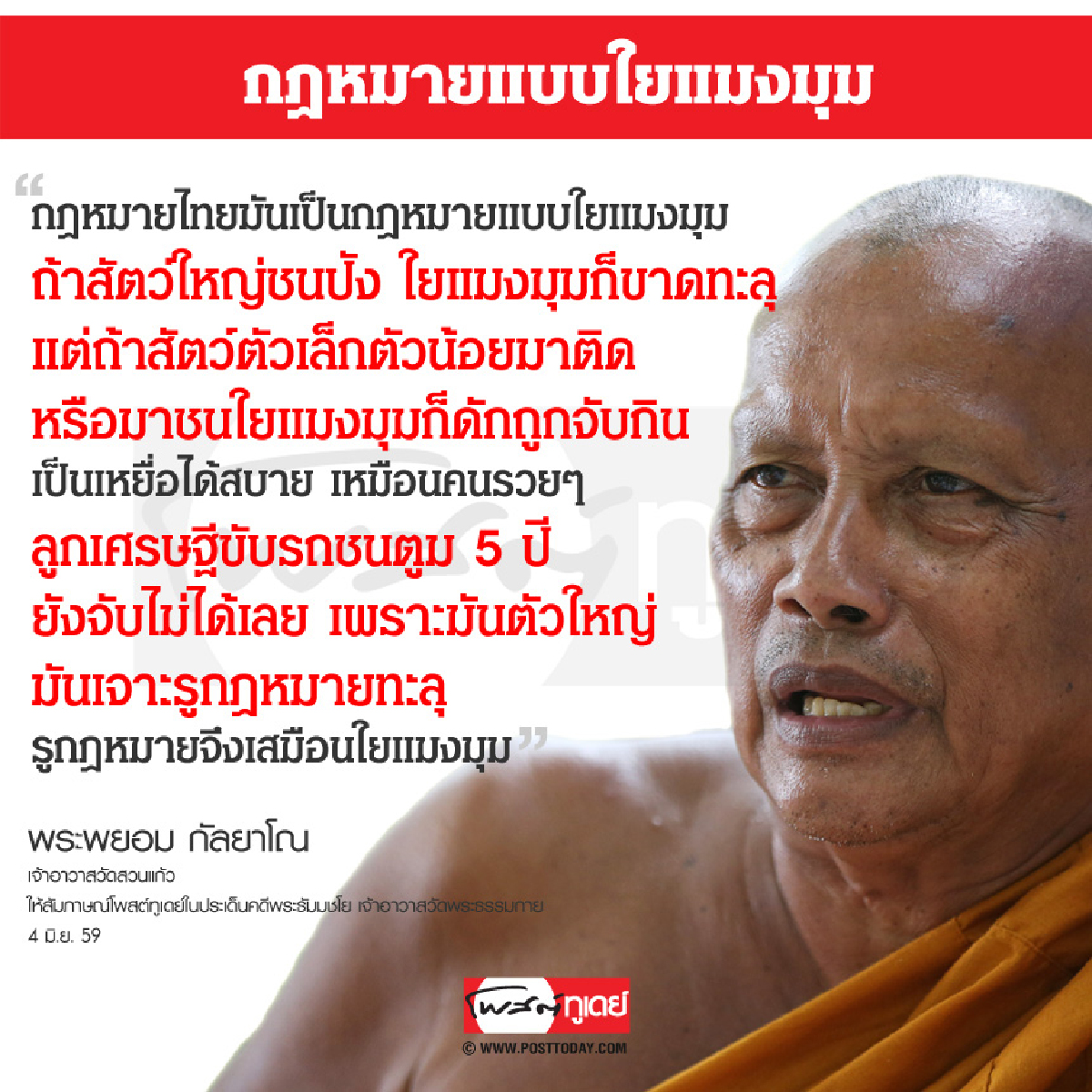 กฎหมายแบบใยแมงมุม กฎหมายแบบใยแมงมุม