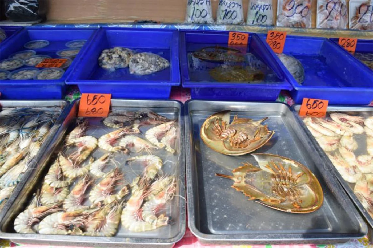 เที่ยววิถีใหม่ ชุมชนยั่งยืน