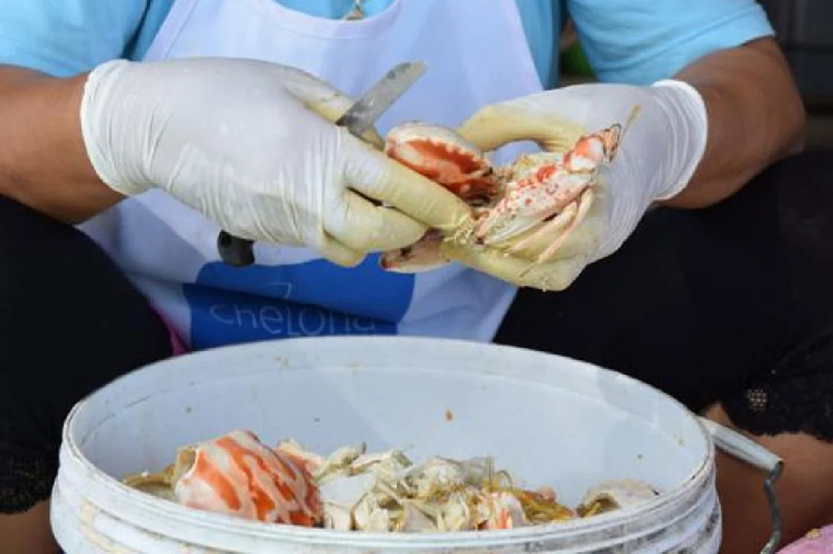 เที่ยววิถีใหม่ ชุมชนยั่งยืน