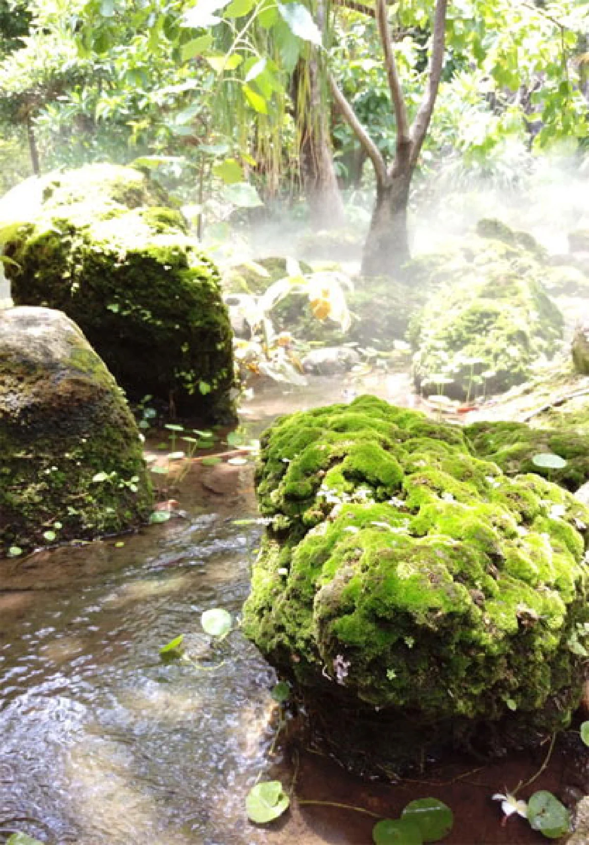 เสถียรธรรมสถาน เดินไปบนเส้นทาง แห่งความสงบ
