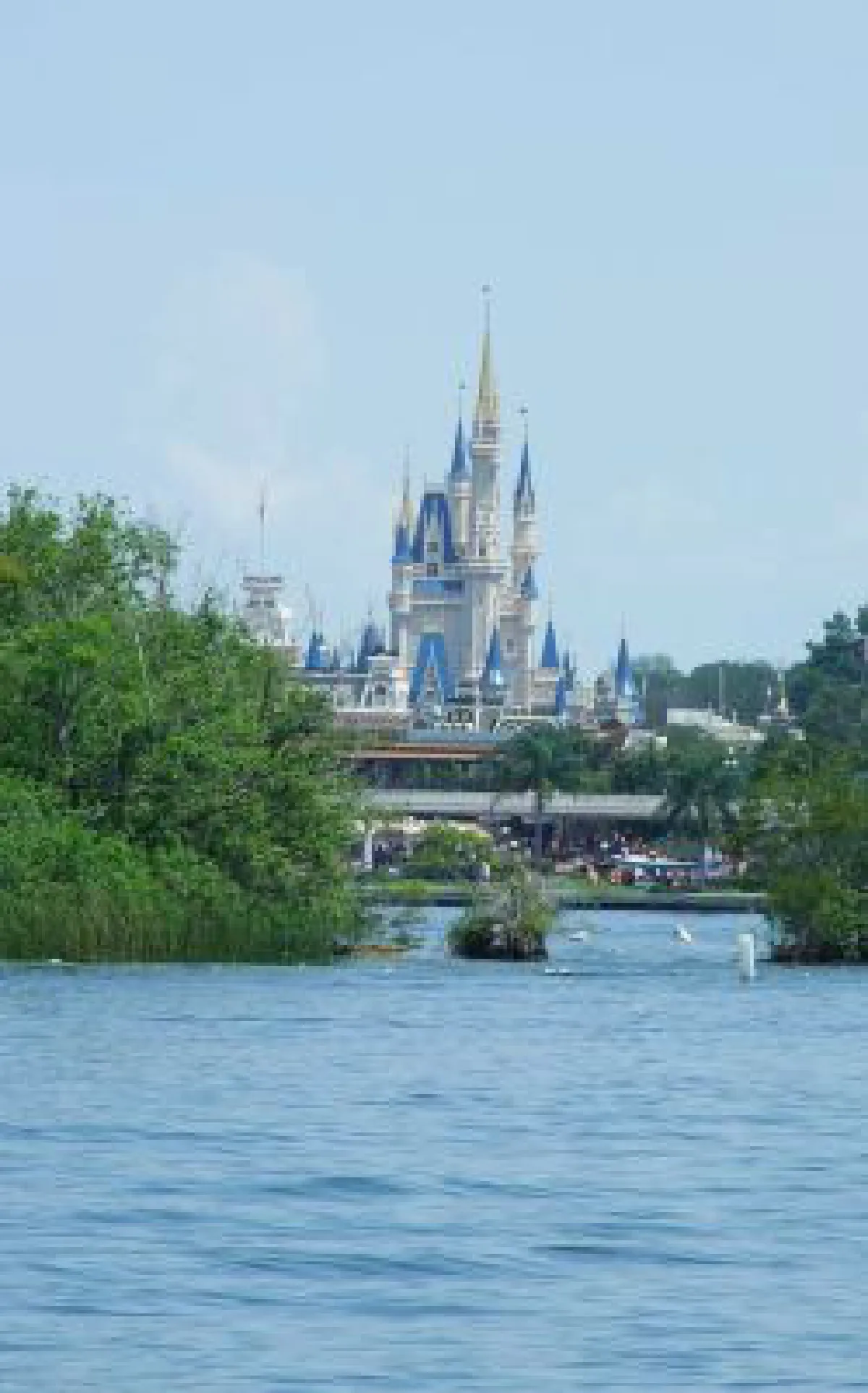 UPDATE: Alligator attack: Child's body recovered