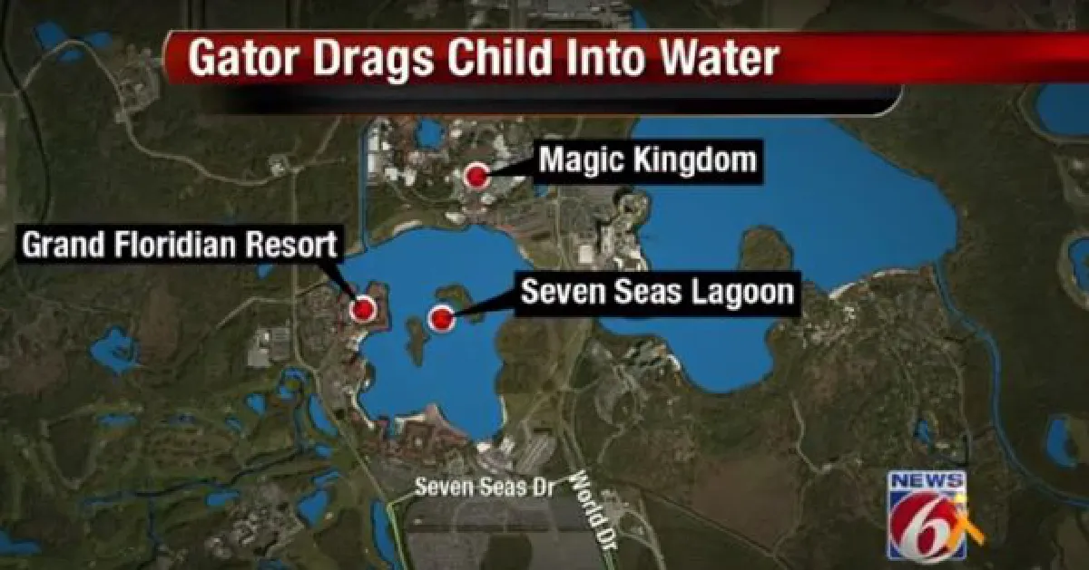 UPDATE: Alligator attack: Child's body recovered