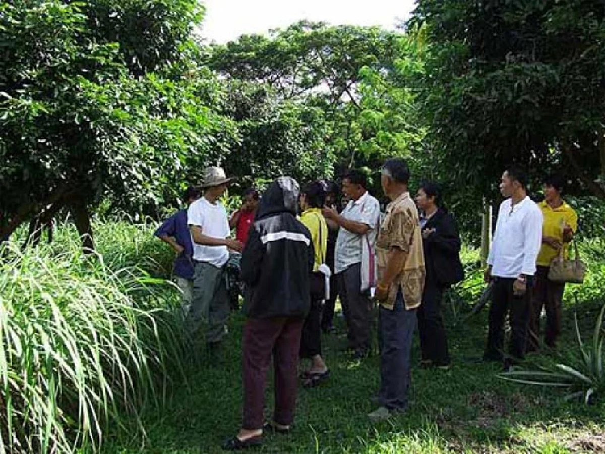 ลุงนิล-สมบูรณ์ ศรีสุบัติ พืชคอนโด 9 ชั้นแห่งความสุข