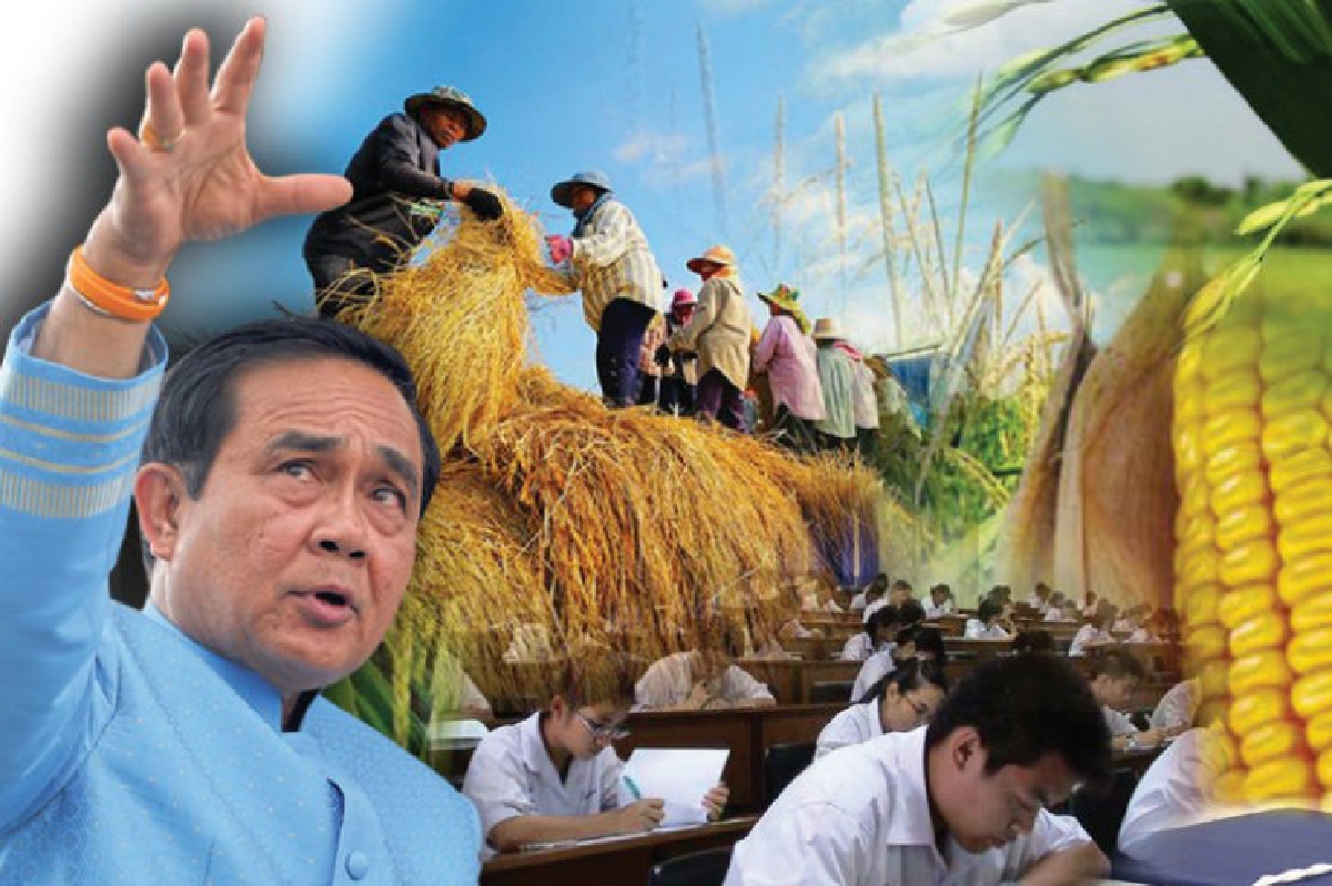 โหมประชานิยม ดัน"ประชามติ" โหมประชานิยม ดัน"ประชามติ"
