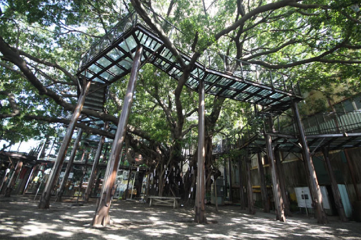 ซอกแซกไต้หวัน กับ 8 จุดเที่ยวใหม่ ใสๆ วัยไหนก็ชอบ