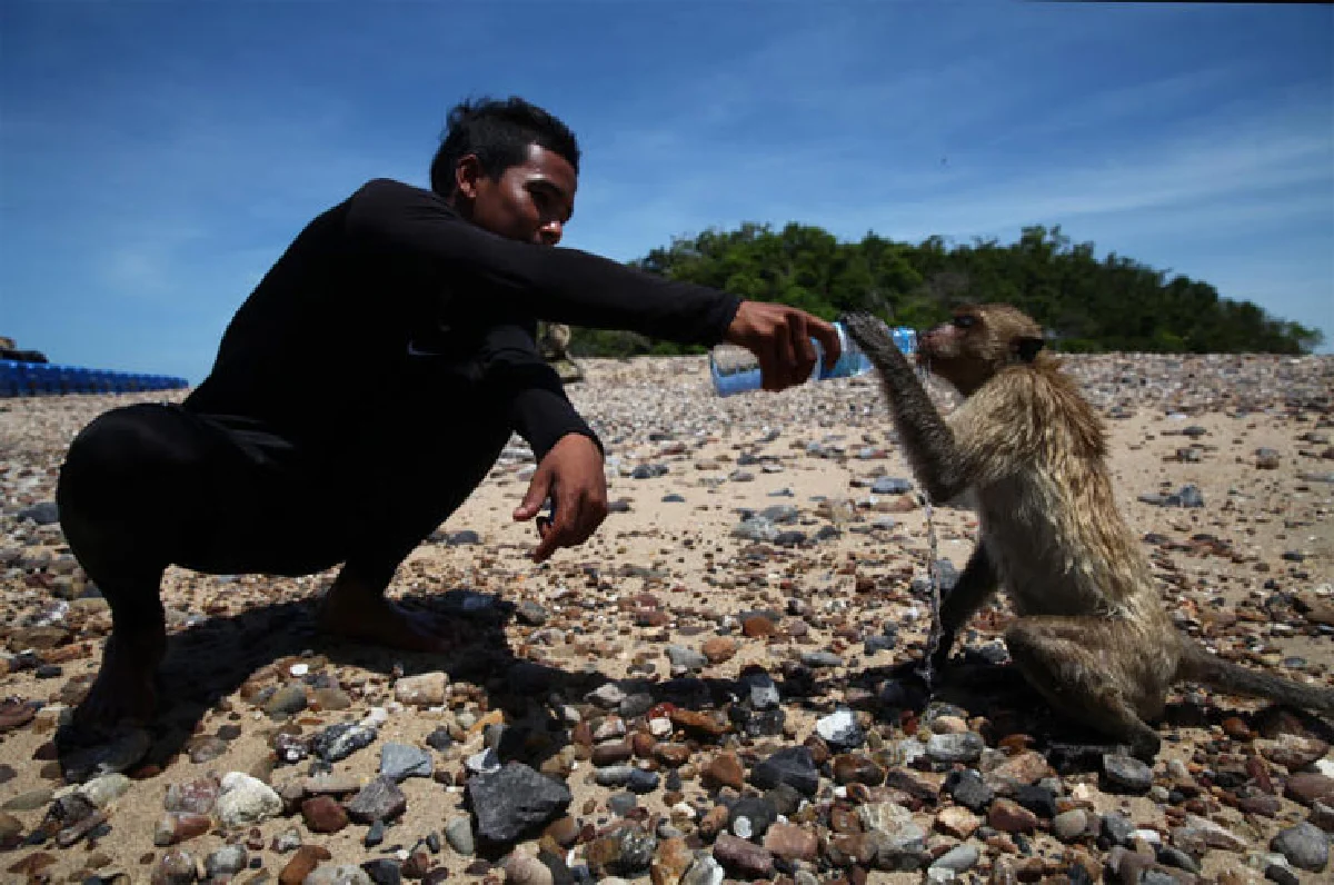 ไปดูลิงที่เกาะเกล็ดแก้ว