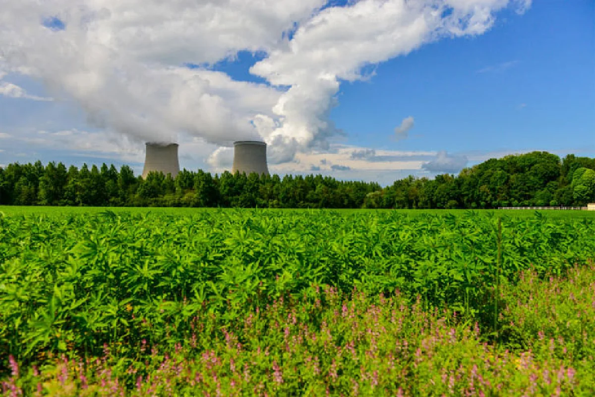 France care the world, Thai do so