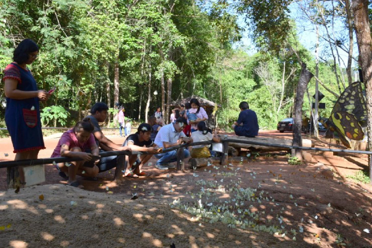 เที่ยวป่าตะวันออก ชมผีเสื้อนับล้านที่ "ปางสีดา"