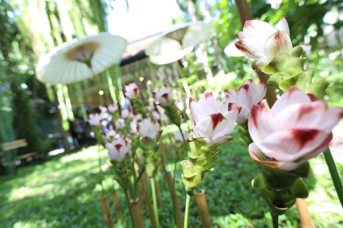 หอมละมุน ที่พิพิธภัณฑ์วัฒนธรรมดอกไม้