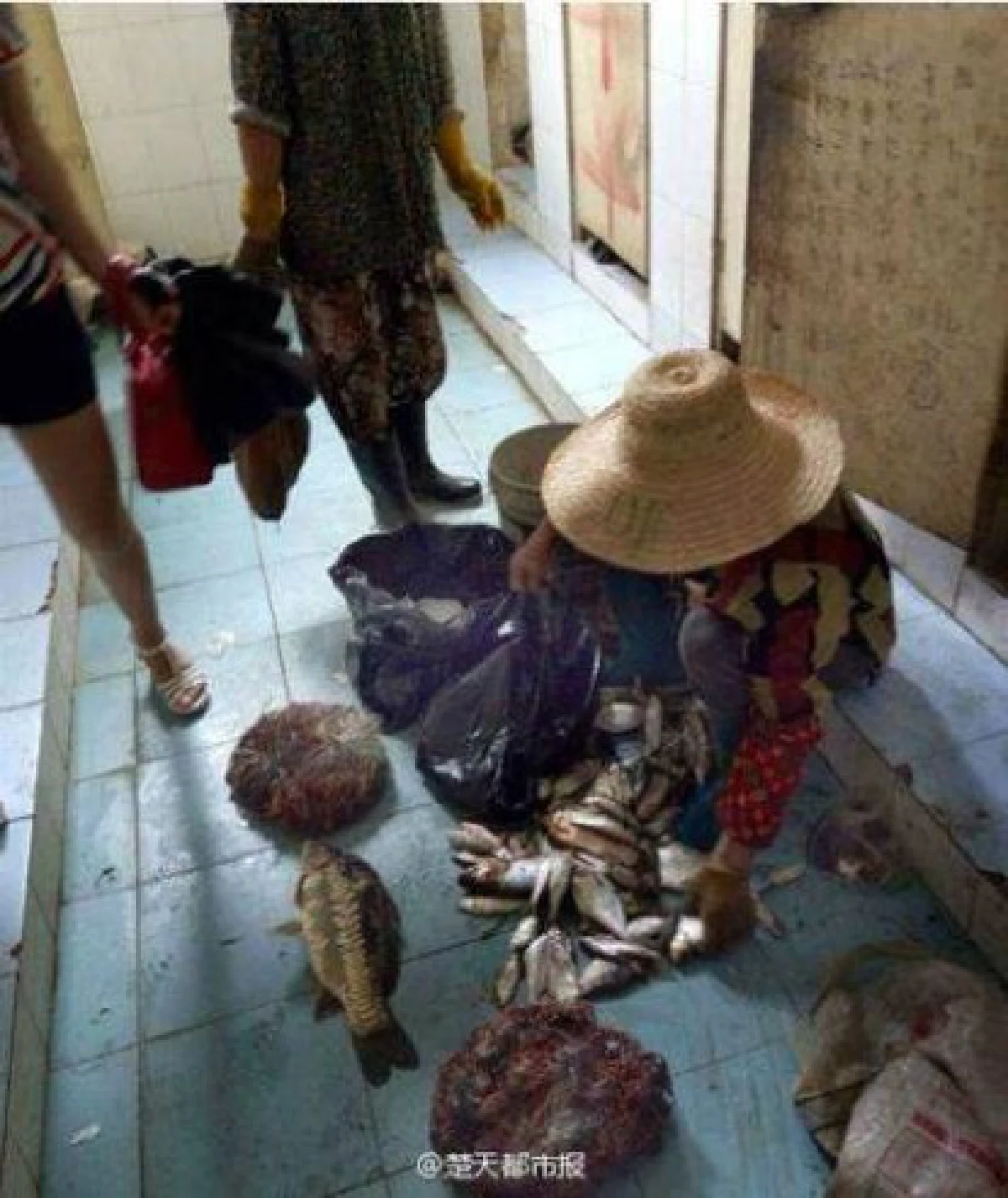 สุดแหวะ!แม่ค้าจีนจับกุ้งจากท่อ-ล้างบนพื้นห้องน้ำก่อนส่งขายใหม่